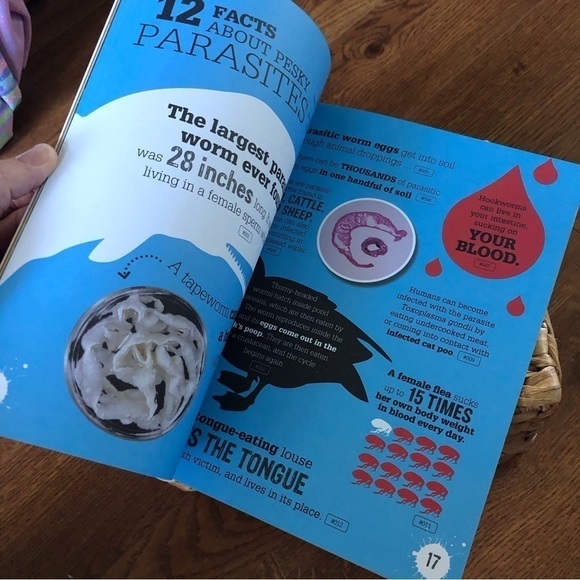 Discovery Kids Totally Gross, Fact packed paperback book - Picture 2 of 6